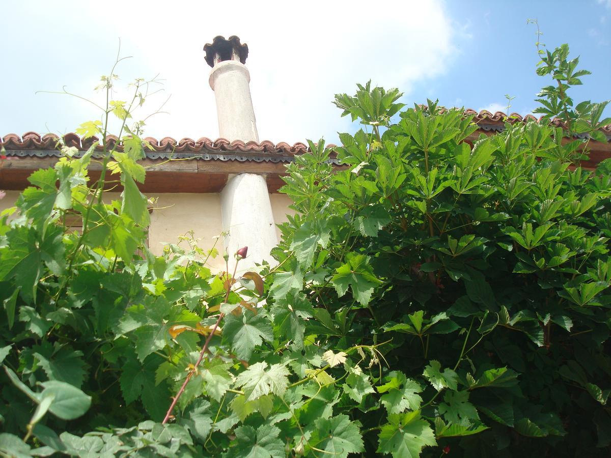 Oikia Alexandrou Traditional Inn Арнея Экстерьер фото