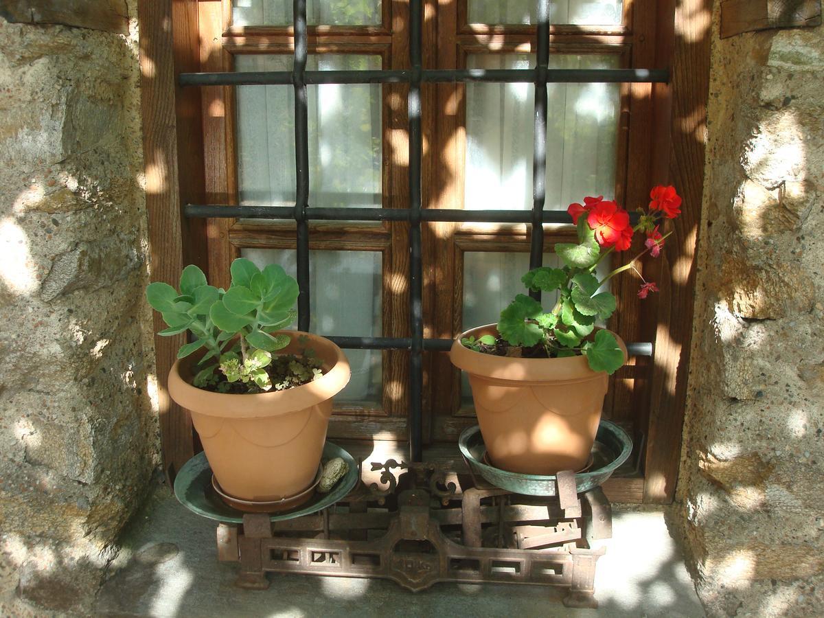 Oikia Alexandrou Traditional Inn Арнея Экстерьер фото