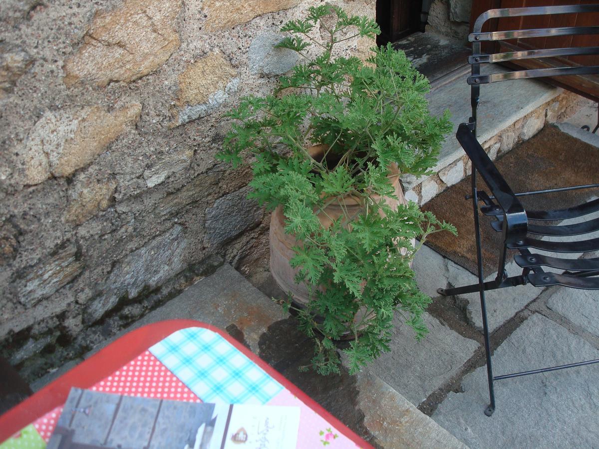 Oikia Alexandrou Traditional Inn Арнея Экстерьер фото